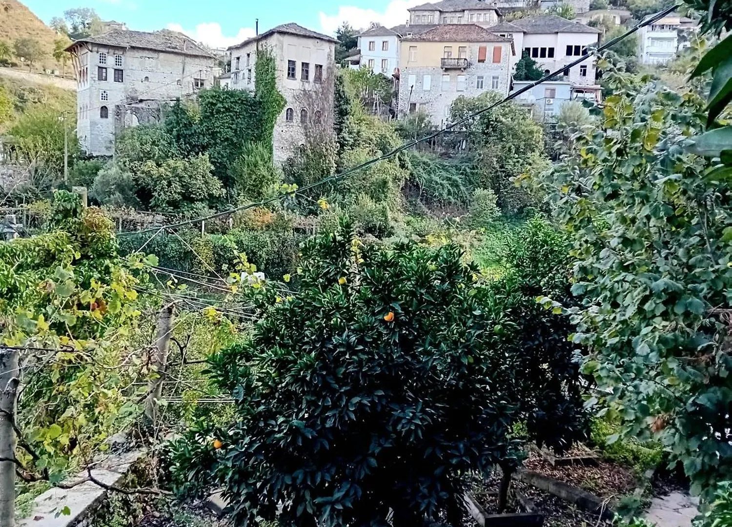 House Hotel Cela Gjirokastër 3*,  ألبانيا